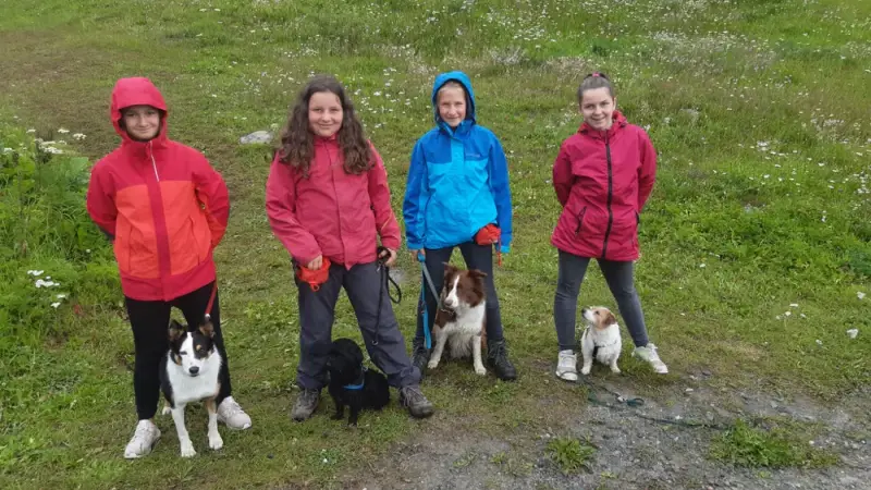 Drei Mädchen und zwei Hunde stehen auf einem Feld. – Jugend und Hund Lager 2020 in Segnas