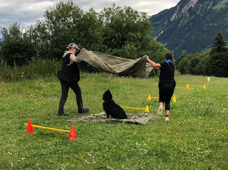 Zwei Personen in schwarzen Hemden und schwarzen Hosen spielen mit einem Hund. – Jugend und Hund Lager 2020 in Segnas
