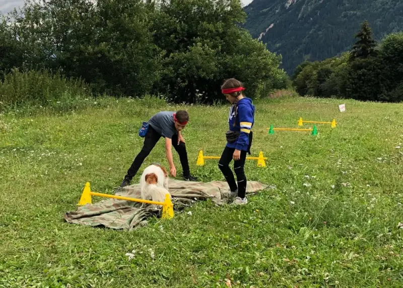 Zwei Personen auf einem Feld mit einem Hund. – Jugend und Hund Lager 2020 in Segnas