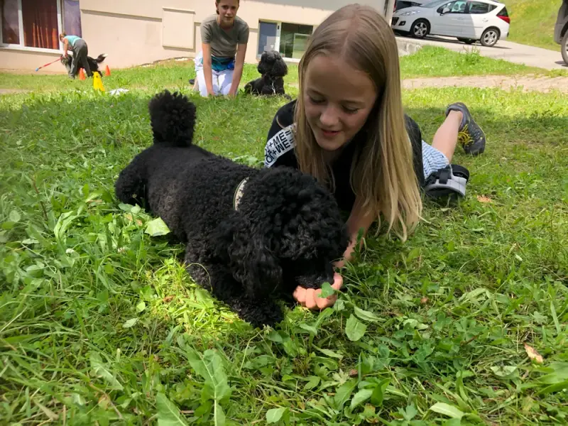Ein laying auf das mädchen auf das gras. – Jugend und Hund Lager 2020 in Segnas