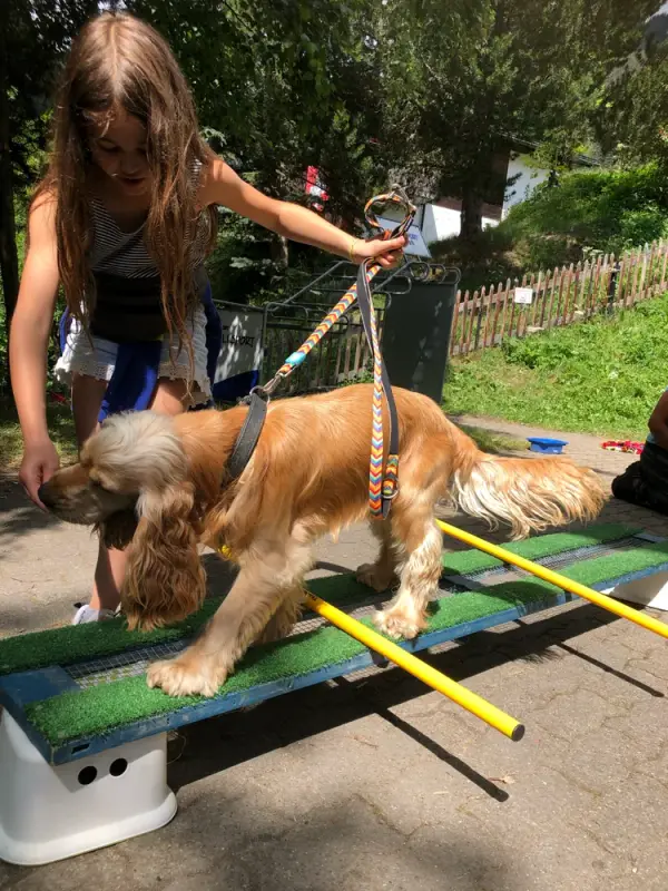 Eine Frau streichelt einen Hund an der Leine. – Jugend und Hund Lager 2020 in Segnas