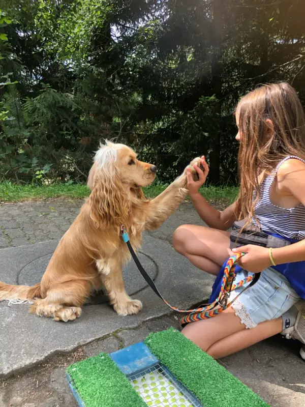 Ein sitzendes Mädchen auf dem Boden. – Jugend und Hund Lager 2020 in Segnas