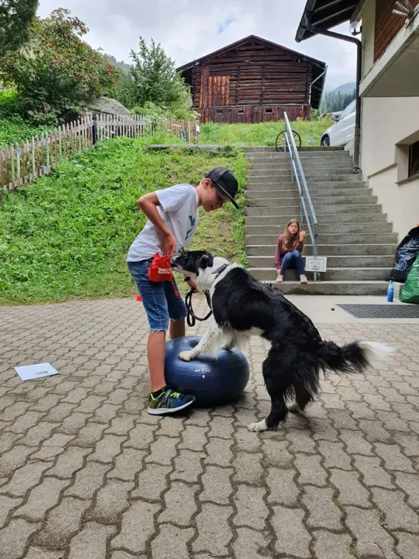 Ein Mann kniet hinunter, um einen Hund zu streicheln. – Jugend und Hund Lager 2020 in Segnas