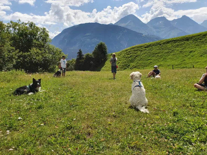 Eine Gruppe von Menschen und einem Hund auf einem Feld. – Jugend und Hund Lager 2020 in Segnas
