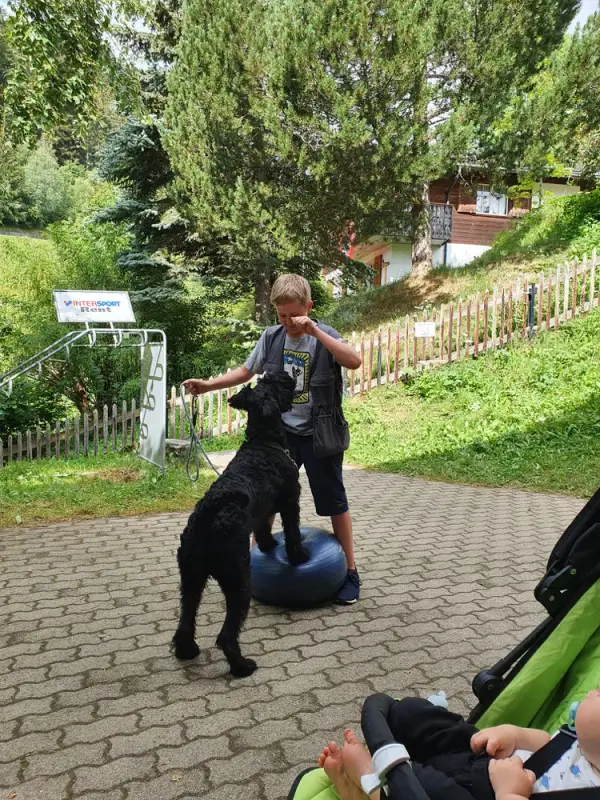 Ein Mann in einem schwarzen Hemd spielt mit einem Hund. – Jugend und Hund Lager 2020 in Segnas