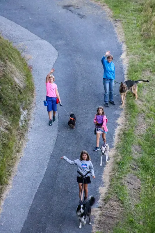 Eine Gruppe von Menschen, die eine Strasse mit Hunden entlang gehen. – Jugend und Hund Lager 2020 in Segnas