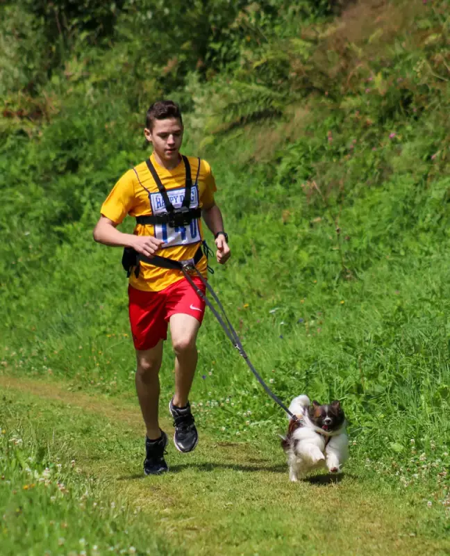 Ein Mann läuft mit einem Hund an der Leine. – Jugend und Hund Lager 2020 in Segnas