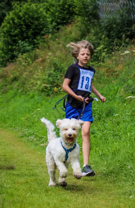 Ein junges Kind mit einem Hund einen Hund zu laufen. – Jugend und Hund Lager 2020 in Segnas