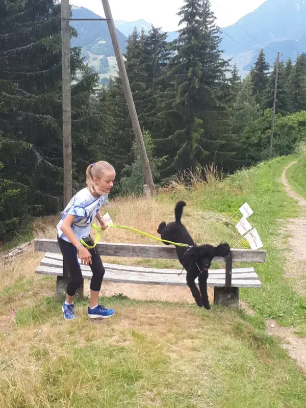 Ein junger Junge spielt mit einem Hund auf einer Bank. – Jugend und Hund Lager 2020 in Segnas