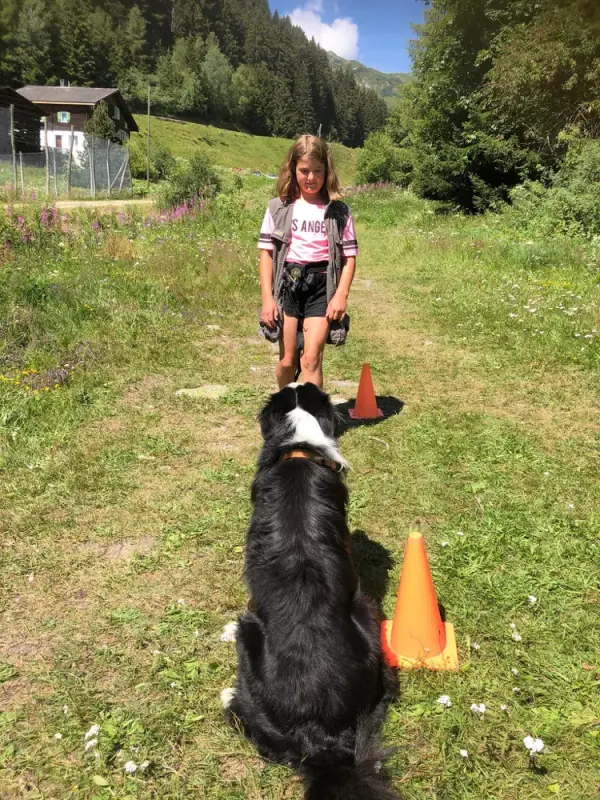 Ein Mädchen geht mit einem Hund auf einem Feld. – Jugend und Hund Lager 2020 in Segnas
