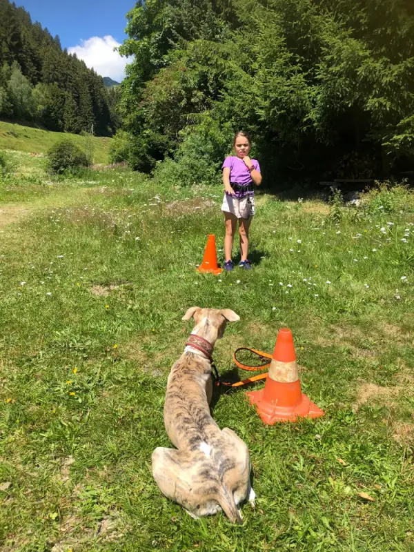 Ein kleines Mädchen spielt mit einem Hund in einem Feld. – Jugend und Hund Lager 2020 in Segnas