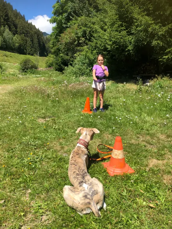 Ein junges Mädchen spielt mit einem Hund auf einem Feld. – Jugend und Hund Lager 2020 in Segnas