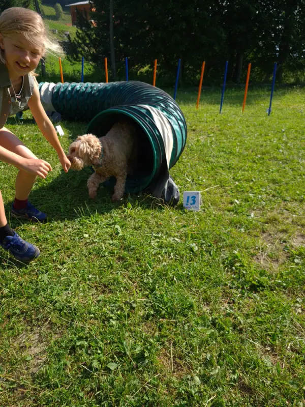 Ein Mädchen streichelt einen Hund auf einem Feld. – Jugend und Hund Lager 2021 in Segnas