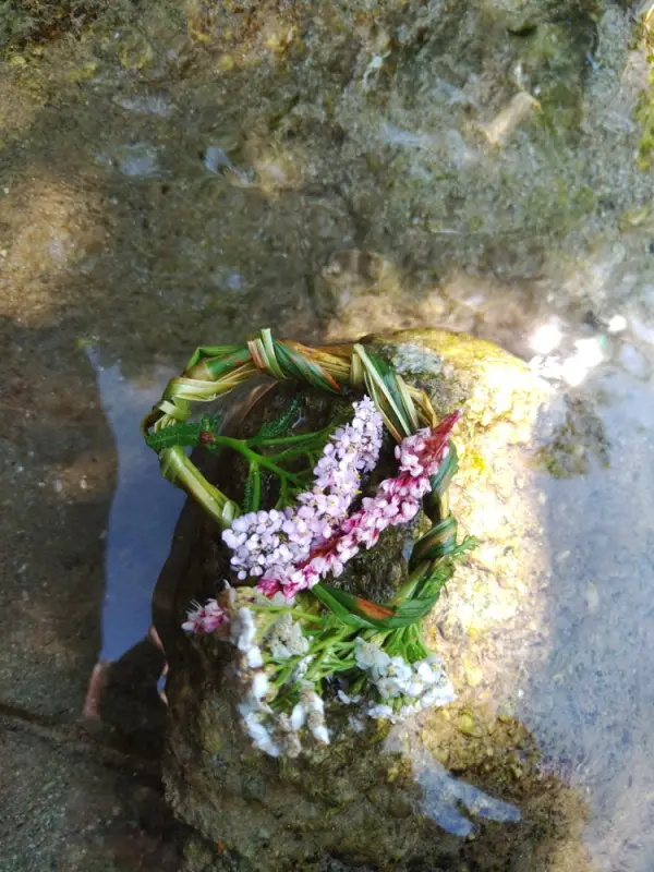 Eine Blume wächst auf einem Felsen im Wasser. – Jugend und Hund Lager 2021 in Segnas