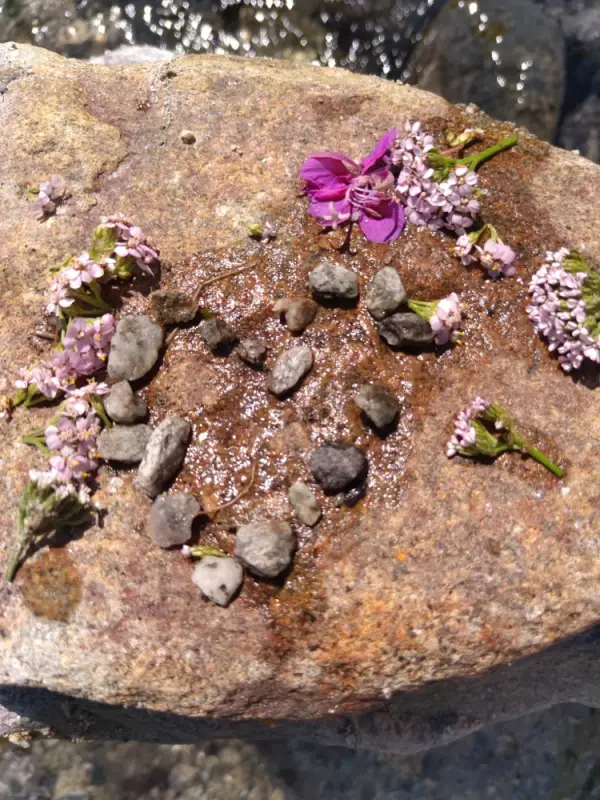 Ein Felsen mit einem Felsen mit einem Stein auf einer Blume. – Jugend und Hund Lager 2021 in Segnas