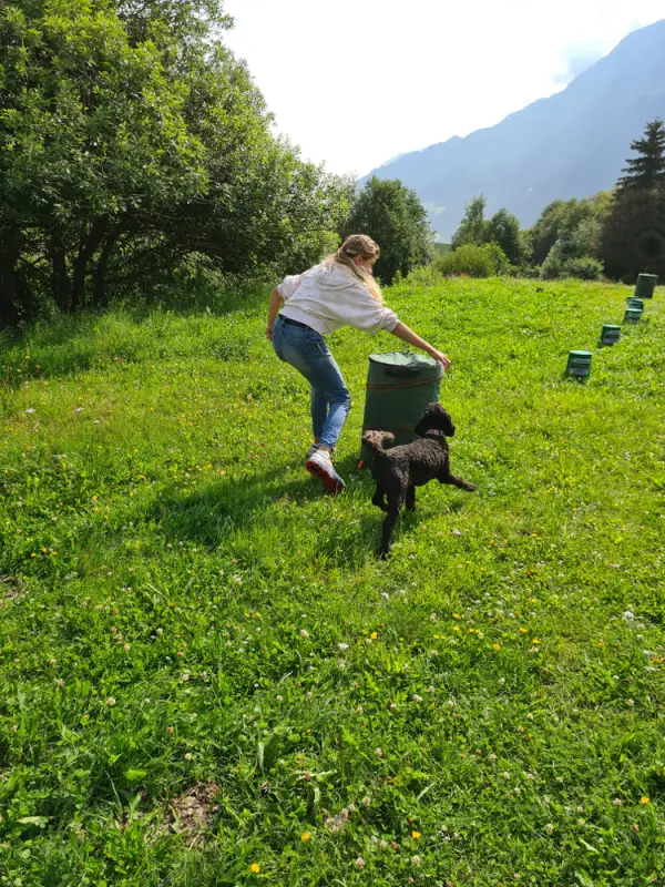 Eine Frau pflückt Blumen in einem Feld. – Jugend und Hund Lager 2021 in Segnas