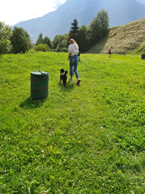 Eine Frau und ein Hund auf einem Feld. – Jugend und Hund Lager 2021 in Segnas