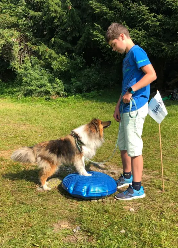 Ein Junge steht neben einem Hund. – Jugend und Hund Lager 2021 in Segnas