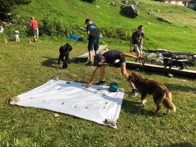 Eine Gruppe von Menschen spielen mit einem Hund. – Jugend und Hund Lager 2021 in Segnas