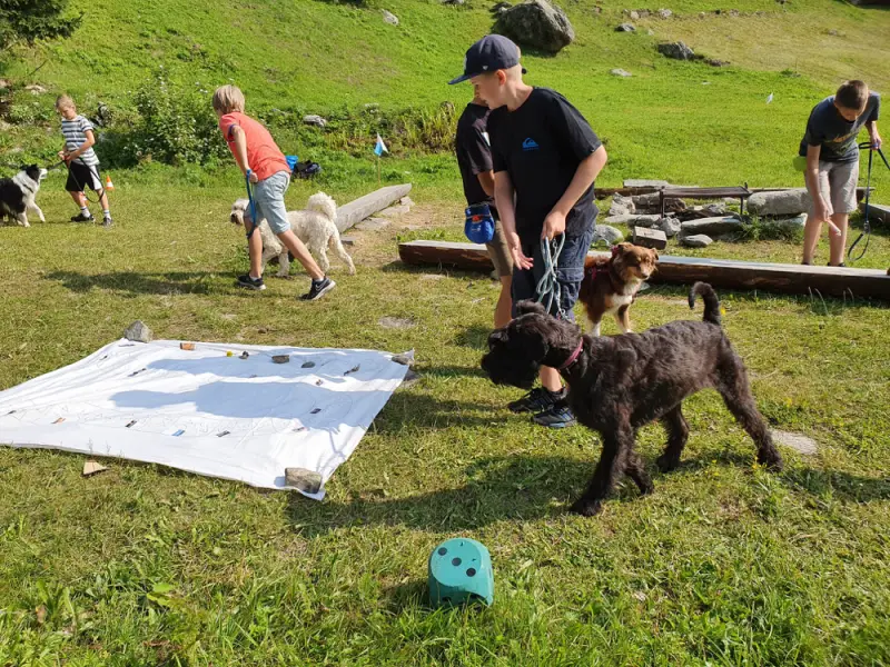 Ein Mann und ein Hund spielen mit einem Drachen. – Jugend und Hund Lager 2021 in Segnas