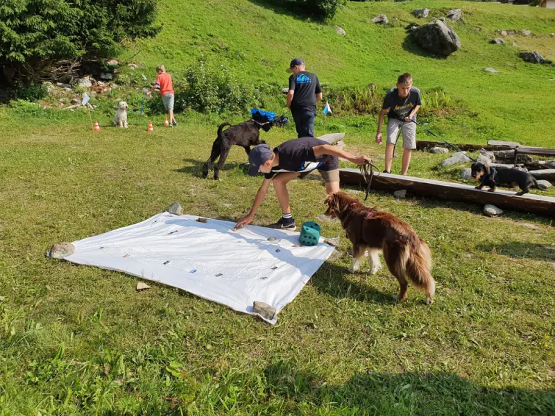 Eine Gruppe von Menschen und einem Hund auf einem Feld. – Jugend und Hund Lager 2021 in Segnas