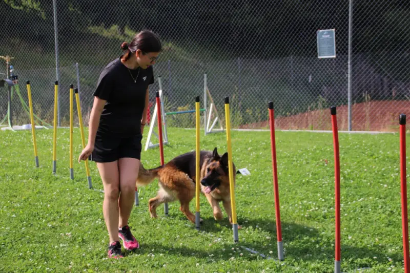 Eine Frau geht mit einem Hund durch einen Zaun. – Jugend und Hund Lager 2021 in Segnas