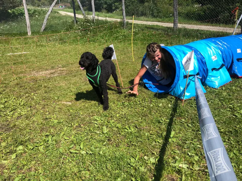 Eine Frau streichelt einen Hund auf einem Feld. – Jugend und Hund Lager 2021 in Segnas
