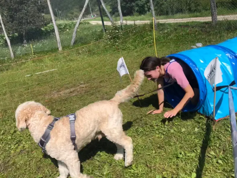 Eine Frau streichelt einen Hund auf einem Feld. – Jugend und Hund Lager 2021 in Segnas