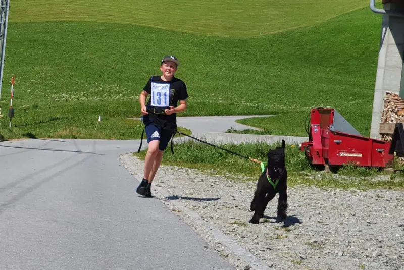 Ein Mann, der einen Hund an der Leine läuft. – Jugend und Hund Lager 2021 in Segnas