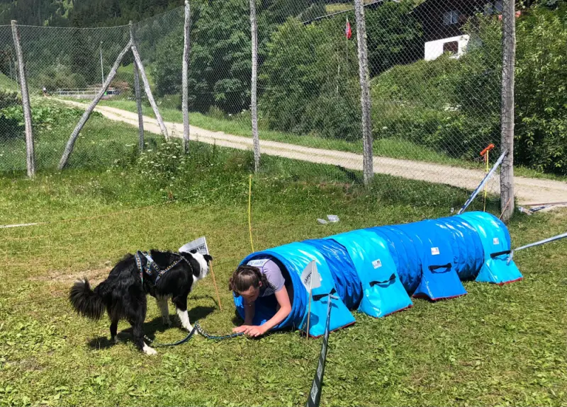 Ein Hund zieht einen Mann in einer blauen Jacke. – Jugend und Hund Lager 2021 in Segnas