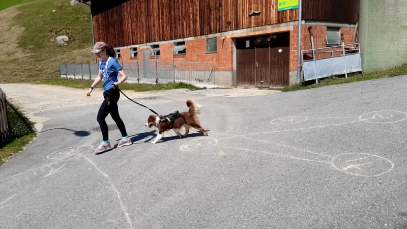 Eine Frau, die einen Hund an der Leine läuft. – Jugend und Hund Lager 2021 in Segnas