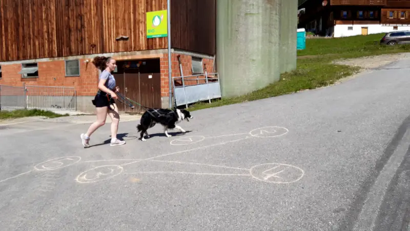 Eine Frau, die einen Hund eine Strasse entlang geht. – Jugend und Hund Lager 2021 in Segnas