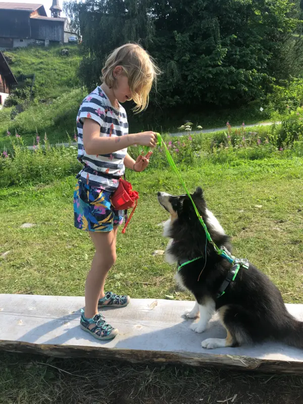 Ein kleines Mädchen spielt mit einem Hund. – Jugend und Hund Lager 2021 in Segnas