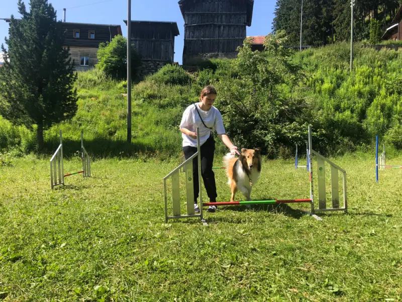 Eine Frau spielt mit einem Hund im Gras. – Jugend und Hund Lager 2021 in Segnas