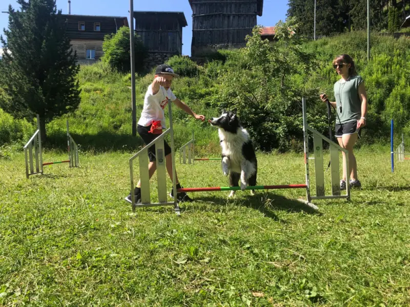 Eine Frau und ein Hund spielen mit einem frc. – Jugend und Hund Lager 2021 in Segnas