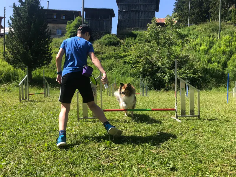 Ein Mann, der mit einem Hund auf einem Feld spielt. – Jugend und Hund Lager 2021 in Segnas
