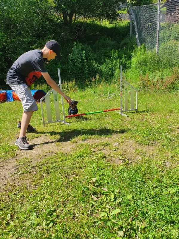 Ein Mann spielt mit einem Hund auf einem Feld. – Jugend und Hund Lager 2021 in Segnas