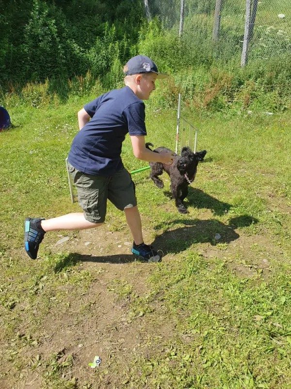 Ein Mann spielt mit einem Hund auf einem Feld. – Jugend und Hund Lager 2021 in Segnas