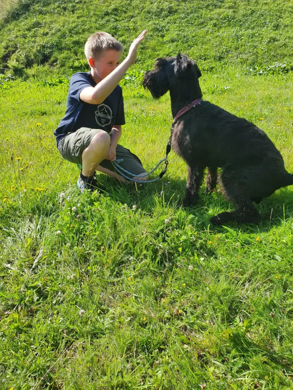 Ein Junge kniet hinunter, um einen Hund zu streicheln. – Jugend und Hund Lager 2021 in Segnas