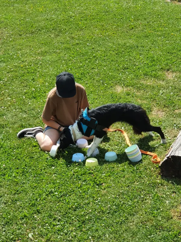 Eine Frau, die mit einem Hund auf dem Gras sitzt. – Jugend und Hund Lager 2022 in Segnas