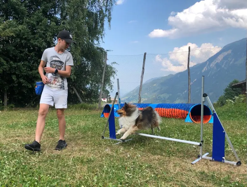 Ein Hund springt über einen Sprung in einem Feld. – Jugend und Hund Lager 2022 in Segnas