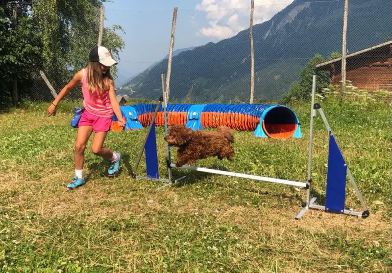 Ein Mädchen spielt mit ihrem Hund im Hof. – Jugend und Hund Lager 2022 in Segnas