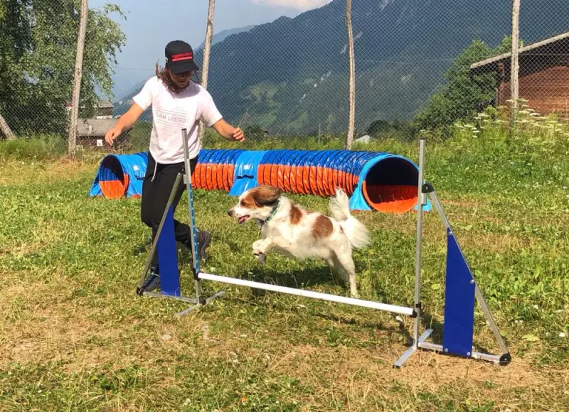 Ein Springen über ein Hündchen. – Jugend und Hund Lager 2022 in Segnas