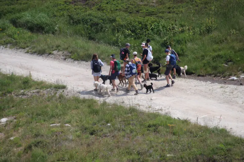 Eine Gruppe von Menschen, die eine unbefestigte Strasse hinuntergehen. – Jugend und Hund Lager 2022 in Segnas