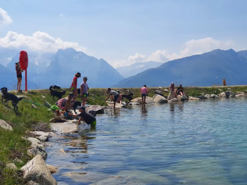 Eine Gruppe von Menschen, die in einem Körper des Wassers stehen. – Jugend und Hund Lager 2022 in Segnas