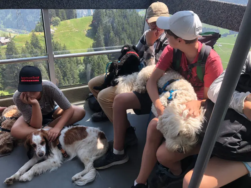 Eine Gruppe von Menschen, die im Bus mit Hunden sitzen. – Jugend und Hund Lager 2022 in Segnas