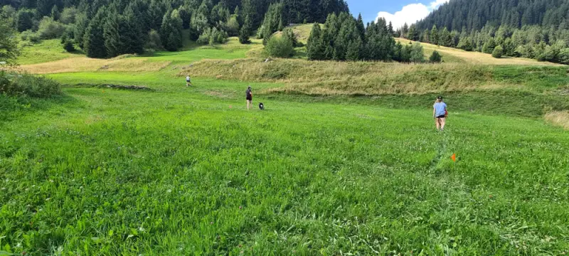 Eine Person, die durch ein üppiges grünes Feld geht. – Jugend und Hund Lager 2022 in Segnas