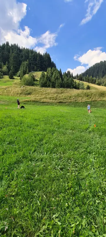 Eine Person fliegt einen Drachen in einem Feld. – Jugend und Hund Lager 2022 in Segnas