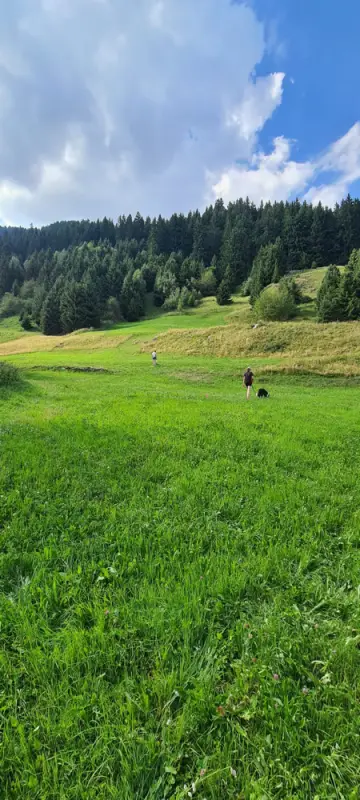 Eine Person geht durch ein Feld mit einem Hund. – Jugend und Hund Lager 2022 in Segnas