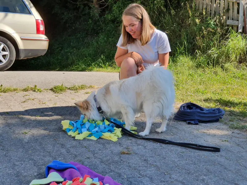 Eine Frau streichelt einen Hund auf der Strasse. – Jugend und Hund Lager 2022 in Segnas